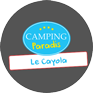logo cayola